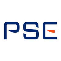 Professional Systems Engineering logo